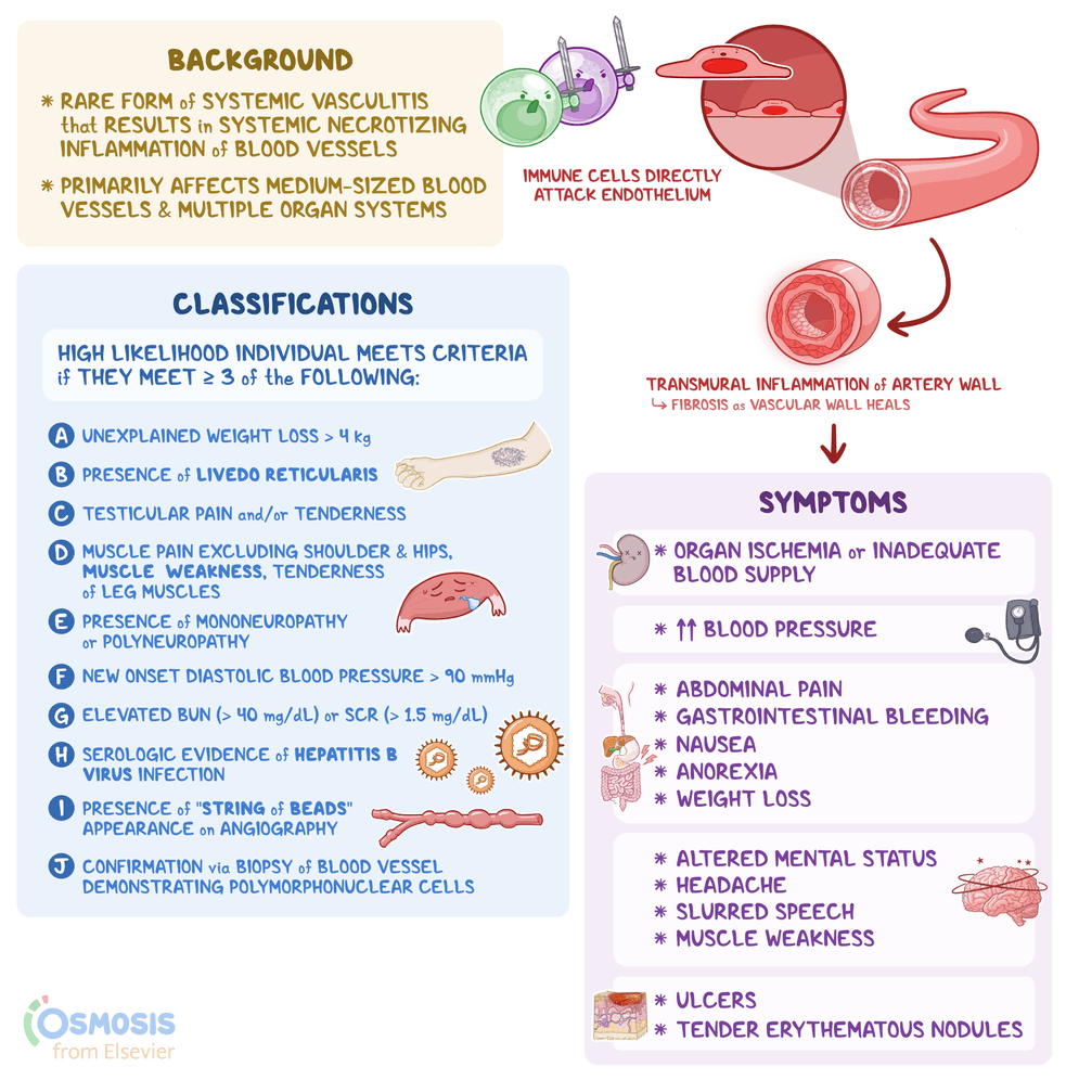 Polyarteritis Nodosa Symptoms