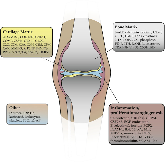 Hemophilic Arthropathy Symptoms