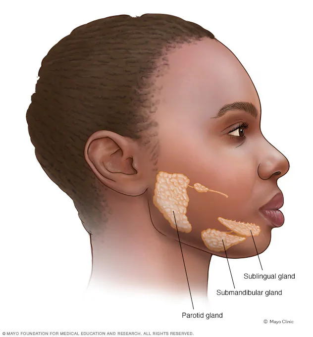 Sjogren's Syndrome Symptoms
